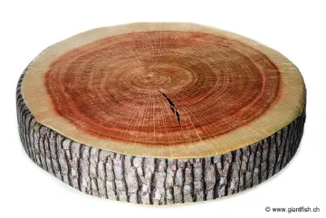 Wood Pine Cushion