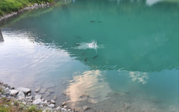 Gouille des Vernays, Bagnes (Valais)