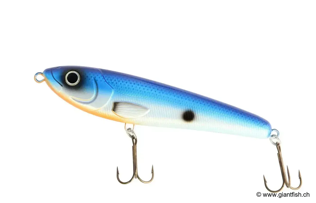 (008) - Blue Shad