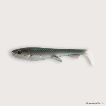 Image de Wolfcreek Shad 2.0 - 11cm / 11g