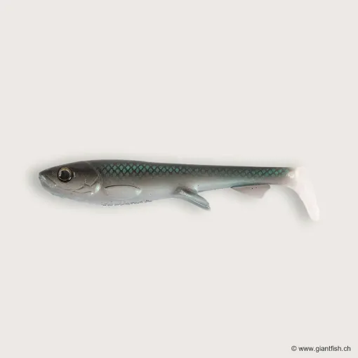 Image de Wolfcreek Shad 2.0 - 11cm / 11g