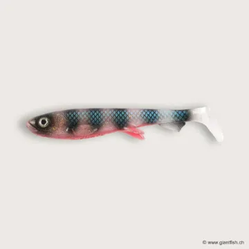 Image de Wolfcreek Shad 2.0 - 11cm / 11g