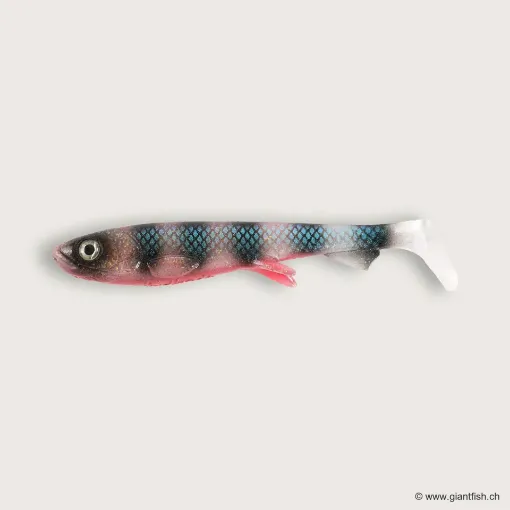 Image de Wolfcreek Shad 2.0 - 11cm / 11g