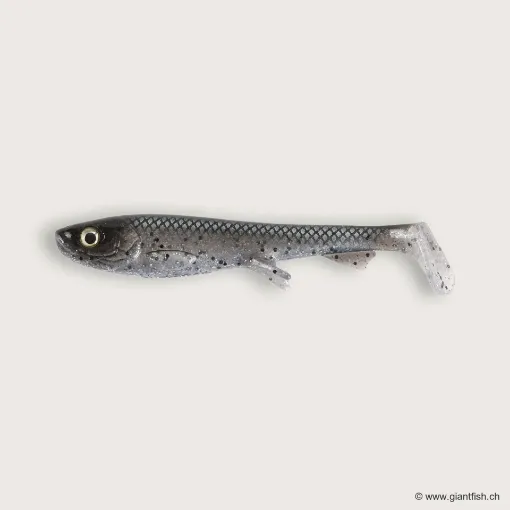 Image de Wolfcreek Shad 2.0 - 11cm / 11g