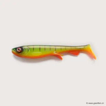 Image de Wolfcreek Shad 2.0 - 15cm / 30g