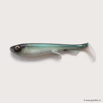 Bild von Wolfcreek Shad 2.0 - 15cm / 30g