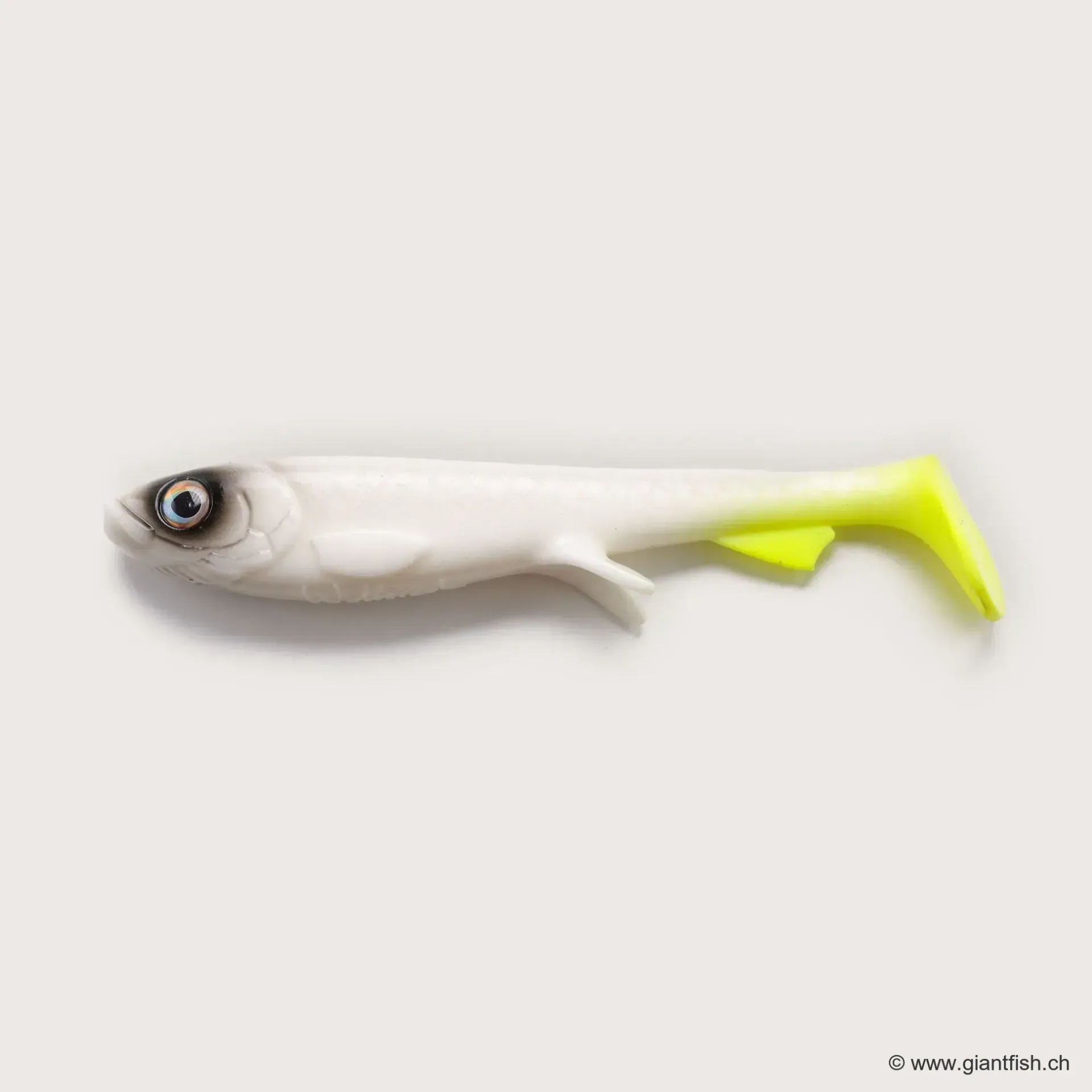 (C021) - White Baitfish