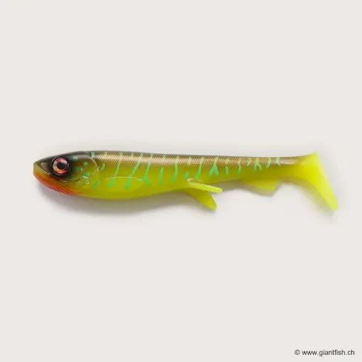 Image de Wolfcreek Shad 2.0 - 25cm / 120g