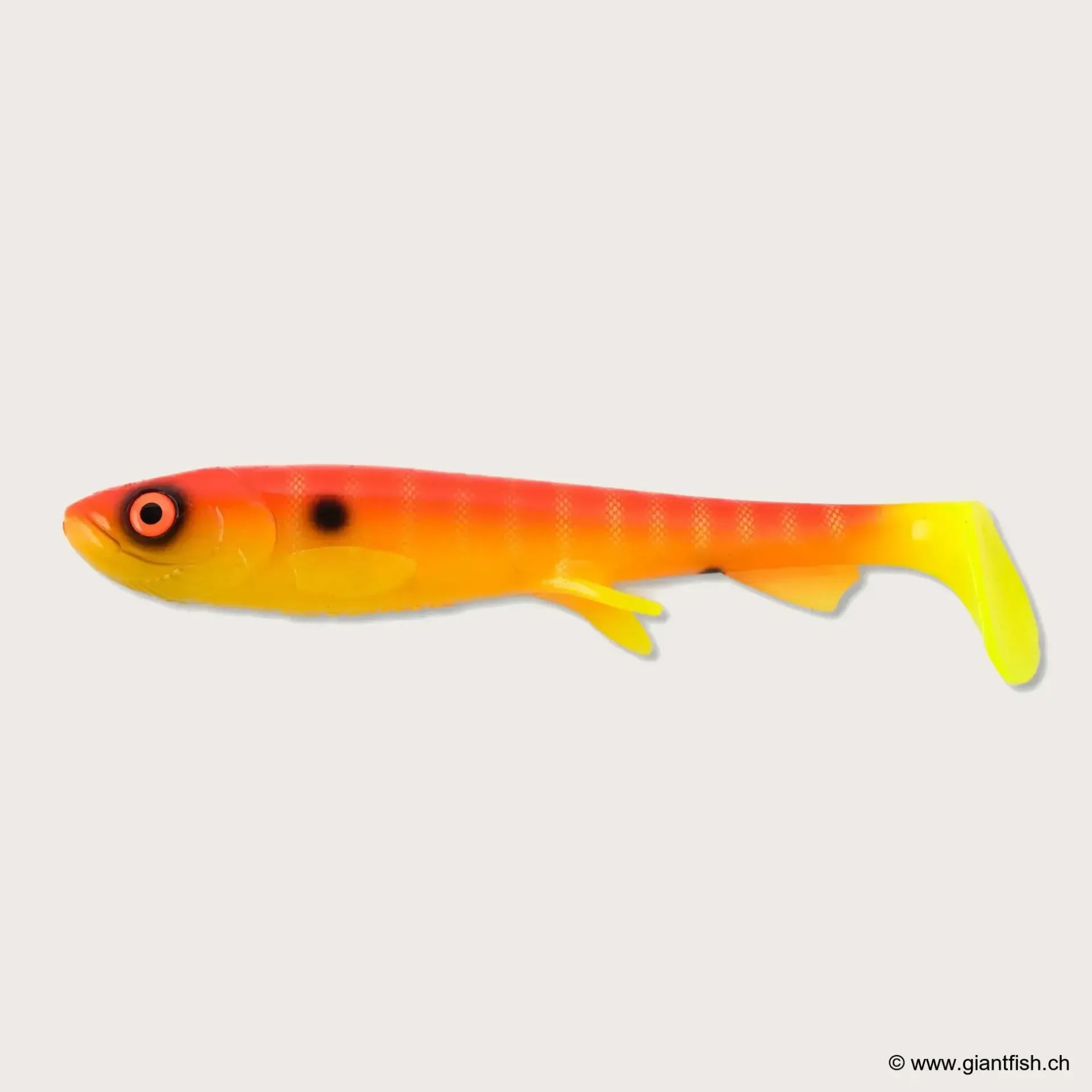 (C080) - Sherbet Shad