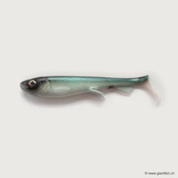 Immagine di Wolfcreek Shad 2.0 - 30cm / 220g