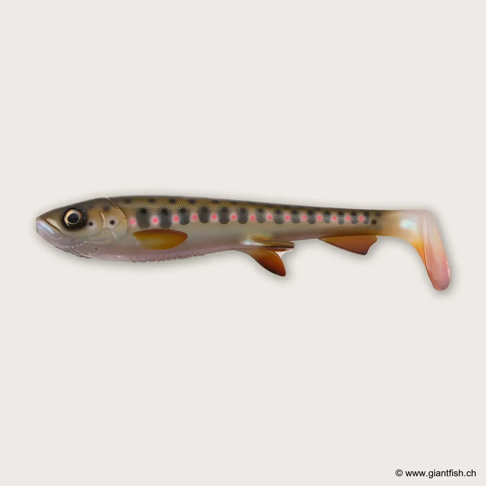 (C072) - Smolt (UV)