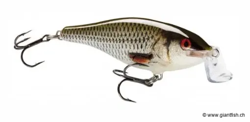 SHALLOW SHAD RAP®