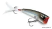 Immagine di Popper Rapala X-Rap Pop 7 cm