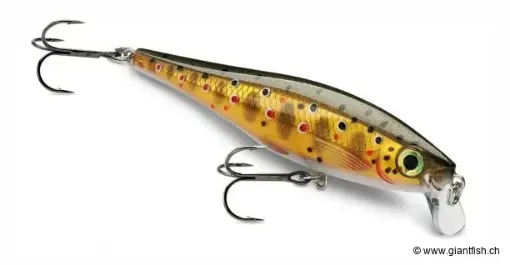 BX® MINNOW