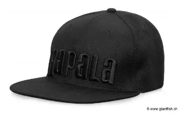 BLACK FLAT BRIM CAP