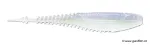 Albino Shad (ASD)