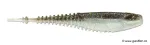 Gizzard Shad (GZSD)