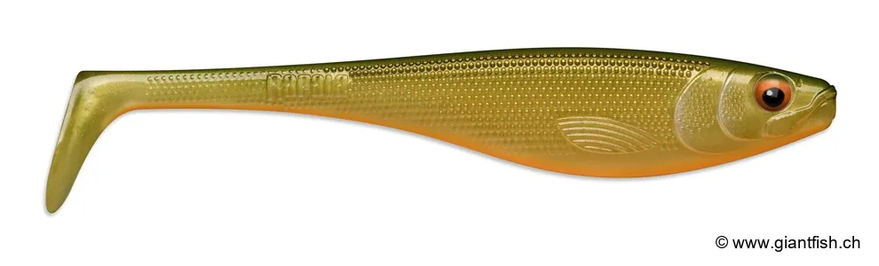 Scaled Roach (SCRR)