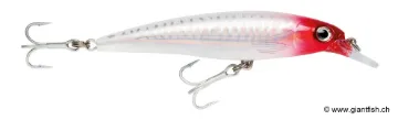 Rapala Leurre de pêche X-Rap Saltwater