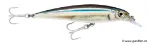 Anchovy (ANC)