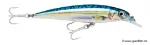 Blue Mackerel (BM)