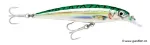 Green Mackerel (GM)