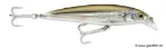 Mangrove Minnow (MM)