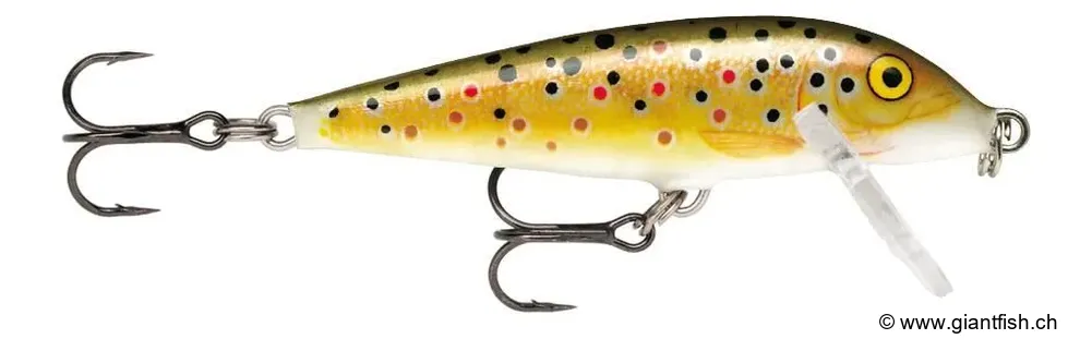 Brown Trout / CD11 (TR)