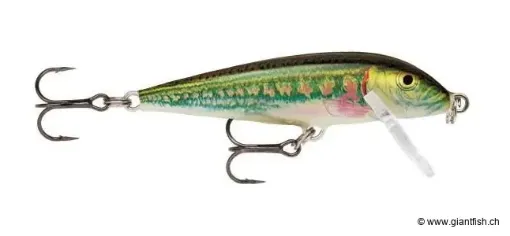 Rapala Leurre de pêche CountDown