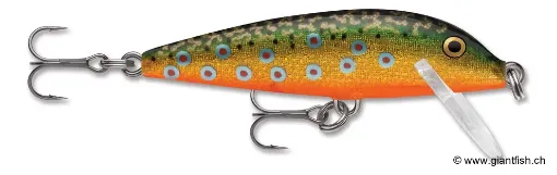 Rapala Leurre de pêche CountDown