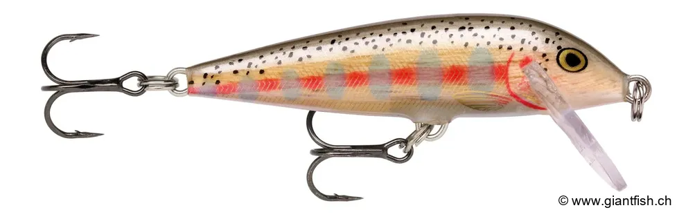 Balsa Juvenile Rainbow Trout / CD03 (BJRT)