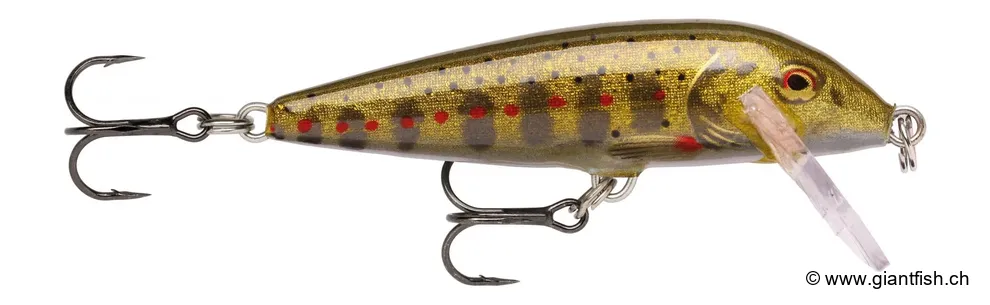 Gold Juvenile Trout / CD03 (GJTR)