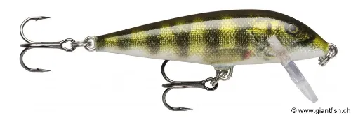 Rapala Leurre de pêche CountDown