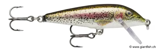 Rapala Leurre de pêche CountDown