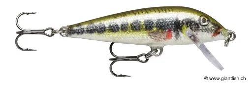 Rapala Leurre de pêche CountDown