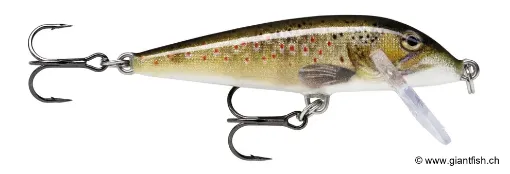 Rapala Leurre de pêche CountDown