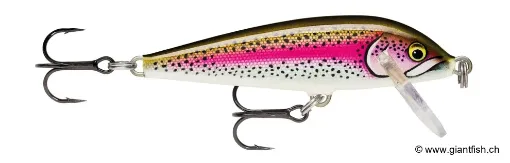 Rapala Leurre de pêche CountDown