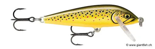 Rapala Leurre de pêche CountDown