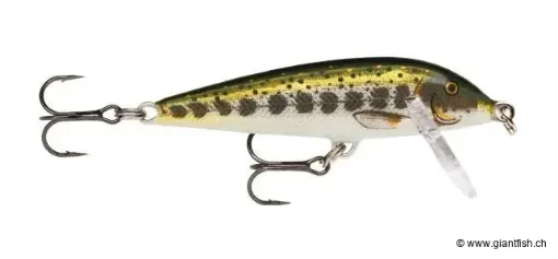 Rapala Leurre de pêche CountDown