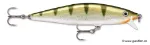 Yellow Perch (YP)