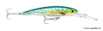 Shark Mackerel UV (SHMU)