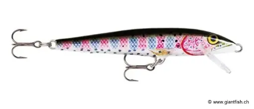 Rapala Leurre flottant