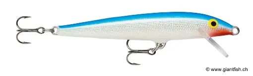 Rapala Leurre flottant