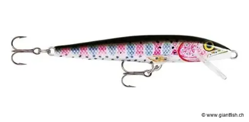 Rapala Leurre flottant