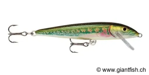 Rapala Leurre flottant