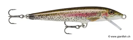 Rapala Leurre flottant