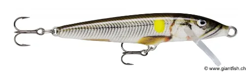 Rapala Leurre flottant