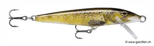 Rapala Leurre flottant