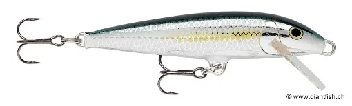 Rapala Leurre flottant