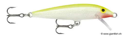 Rapala Leurre flottant